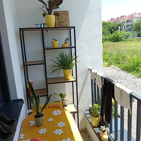 Vlado B * Belgrade