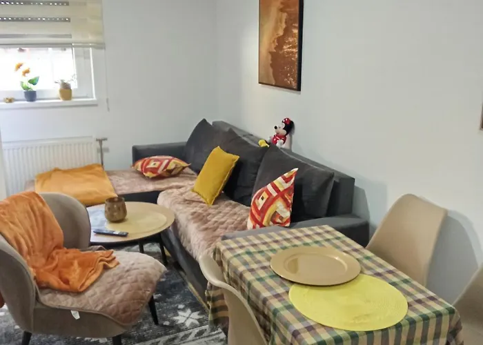 Vido Βελιγράδι